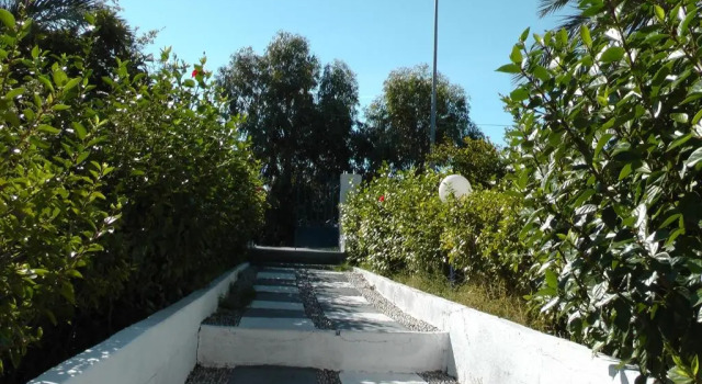 Студия Petasos Apartments 1