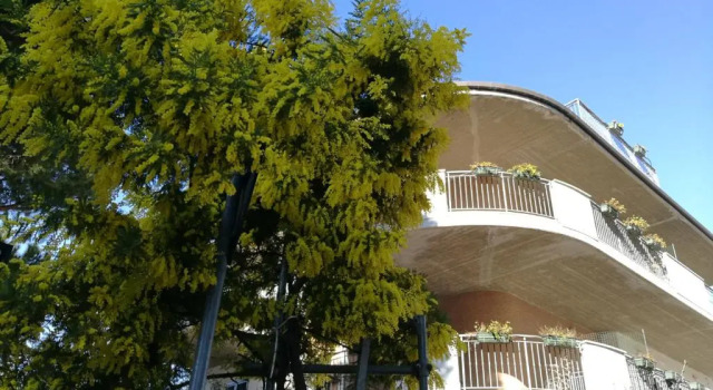 Апартаменты Standard Hotel Buratti
