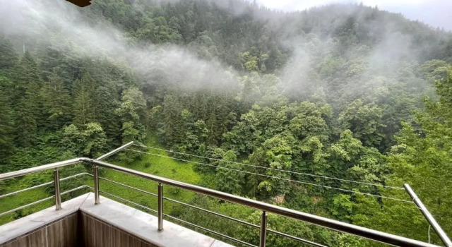 Апартаменты Standard Fairytale Nature House - Uzungöl