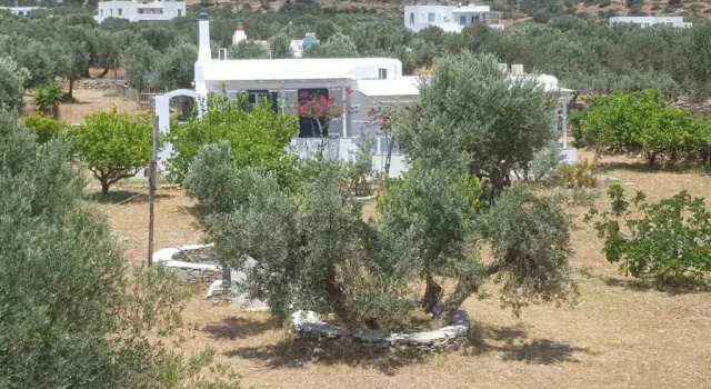 Elisso Villas