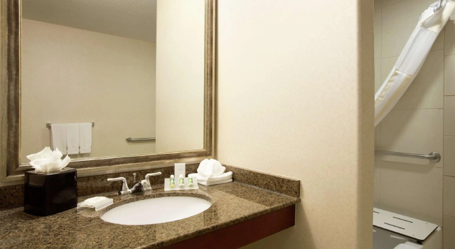 Четырёхместный полулюкс Hilton Garden Inn New Braunfels