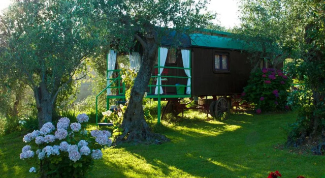 Номер Standard Azienda agricola e Caravan della Mezzaluna