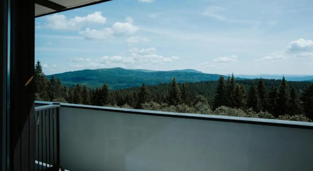 Номер Executive OREA Resort Horizont Šumava