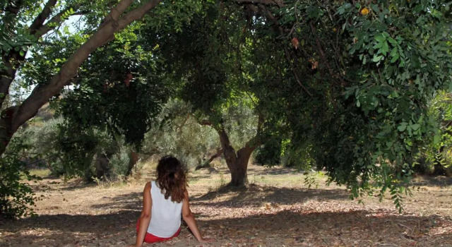 Tenuta Petreria 2 con acesso diretto al mare, Book Apartment Hotels in Sicily with Parking, Parking