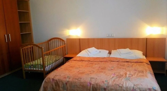 Hotel Central, Rezerwuj Hotel Hotele w Kraj hradecki z parkingiem, Parking