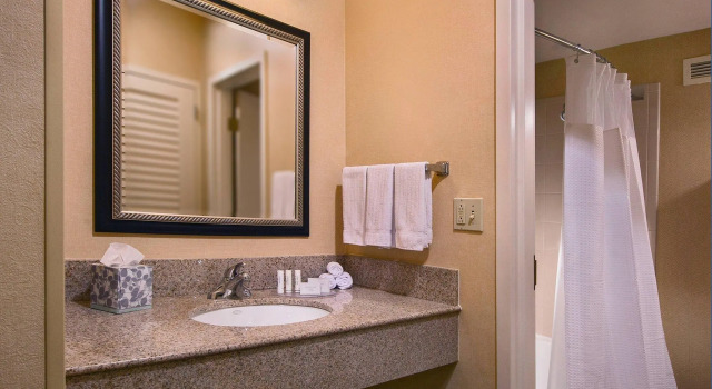 Двухместный люкс Courtyard By Marriott Baltimore Hunt Valley