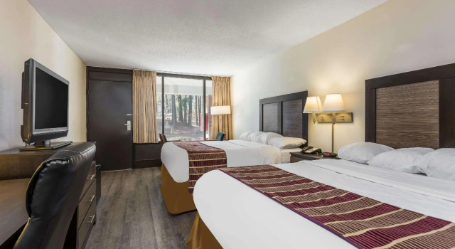 Четырёхместный номер Standard Days Inn & Suites by Wyndham Rocky Mount Golden East