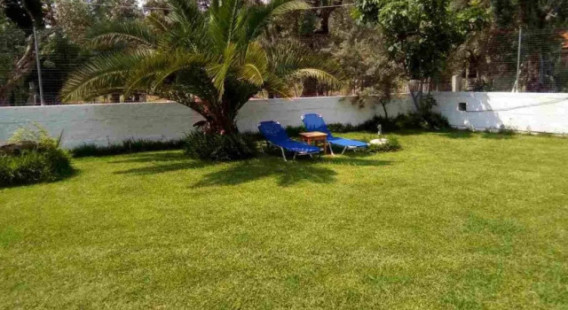 Студия Superior Menelaos Apartments