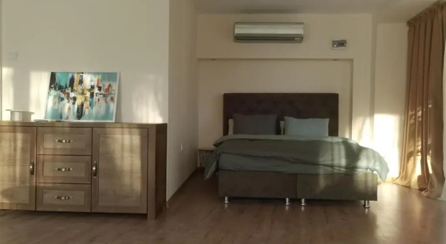 Апартаменты French Windows Loft Mrenitsov