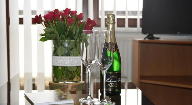Двухместный номер Standard Hotel Jaškovská Krčma