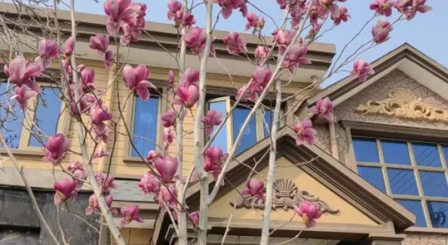 Shuianxiangju Boutique Homestay