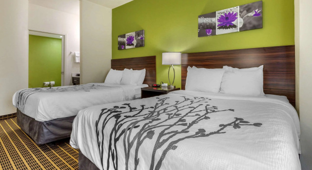 Четырёхместный номер Standard Sleep Inn Orangeburg