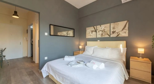 Renovated lovely aptm near to Acropolis
