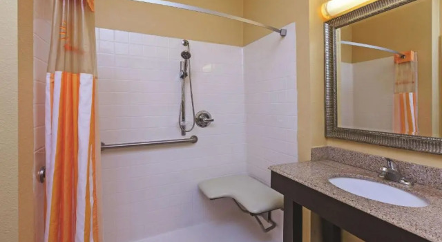 Номер Standard La Quinta Inn & Suites by Wyndham Angleton