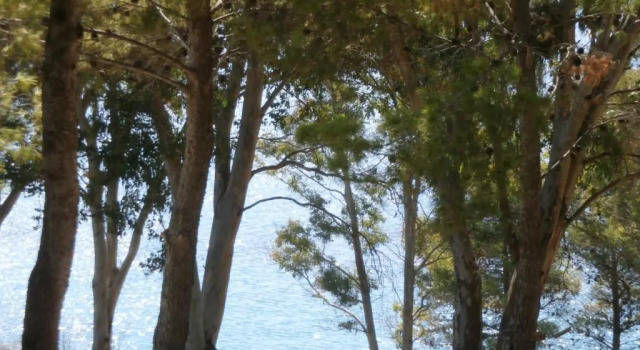 Вилла Kefallonia Bay Resort