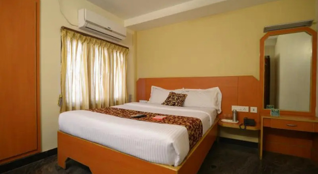 Номер Deluxe Hotel Vijay