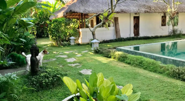 Rumah Maia, Rezerwuj Hotel Tanie hotele w Denpasar Municipality