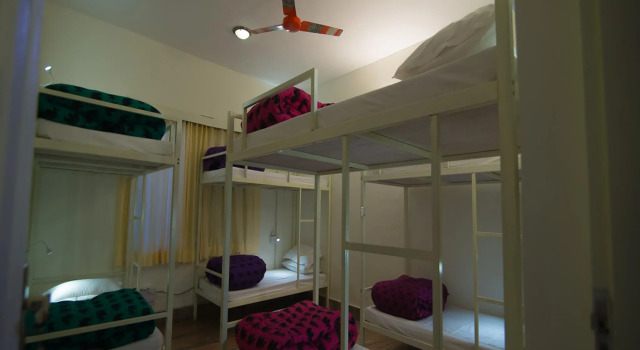 Кровать в общем номере goSTOPS Lite Jaipur