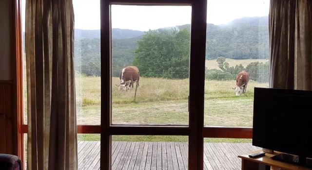 Шале Jamieson Valley Retreat