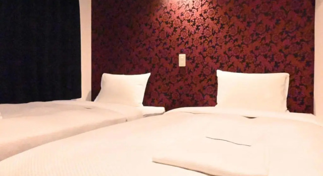 Двухместный номер Economy Art Inn Namba