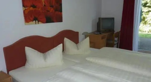 Номер Standard Hotel Grüner Jäger