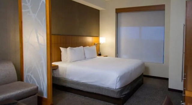 Двухместный номер Hyatt Place Detroit/Novi