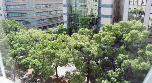 Двухместный номер Standard Rihga Hotel Zest Takamatsu