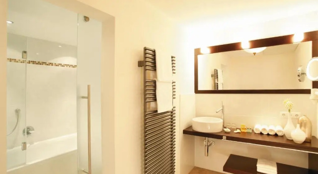 Номер Standard Мансарда Living & Spa Vitalhotel Edelweiss
