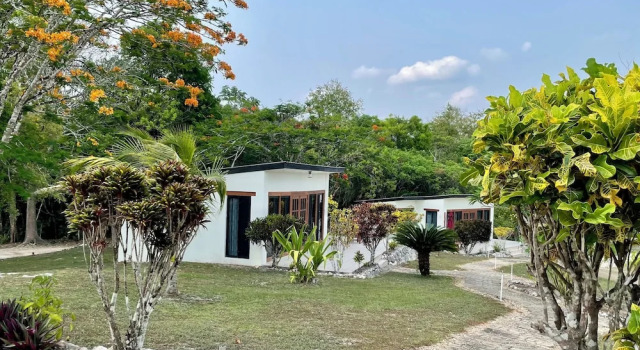 Номер Standard Gumbo Limbo Jungle Resort