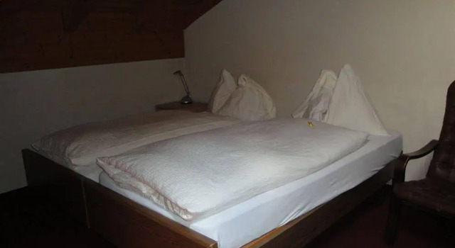 Hotel Alpha Thun, Prenota Hotel Gwatt Thun