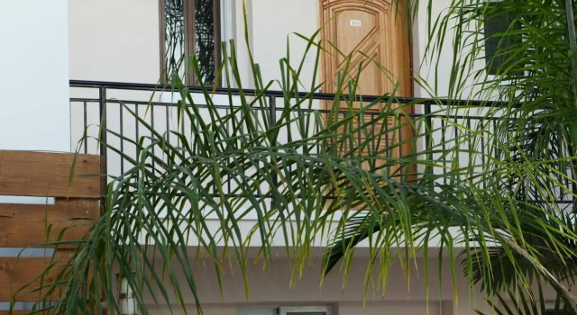 Alecos Hotel Apartments