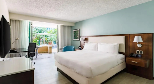 Номер Standard с балконом и с видом на сад DoubleTree by Hilton San Juan