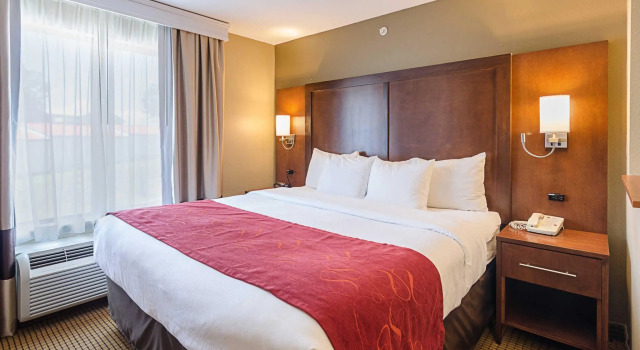 Люкс c 1 комнатой Comfort Suites Wytheville near Conference Center