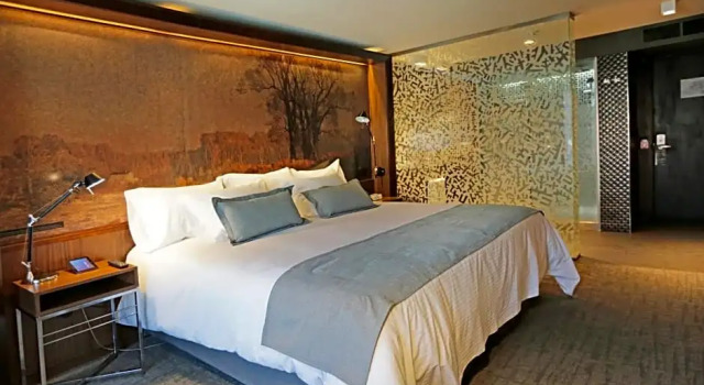 Номер Standard Hotel Cumbres Lastarria