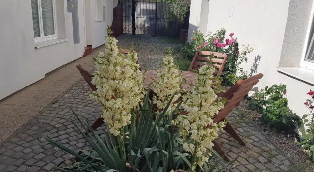Апартаменты Apartament Olomouc NEW1