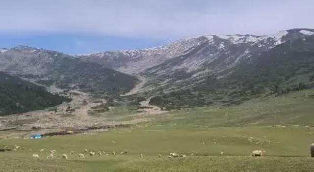 Hotel Gulmarg House, Забронировать Отель Гульмарг Jammu & Kashmir Ski