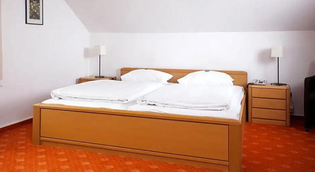 Номер Standard Hotel & Restaurant Ernst