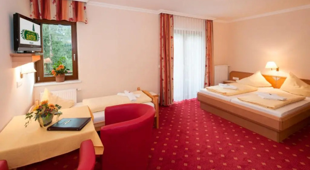 Трёхместный номер Standard Hotel Landhof Simeter GMBH