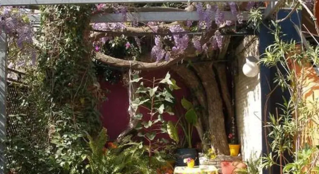 Студия Living Like in a Cottage in the Center of Athens