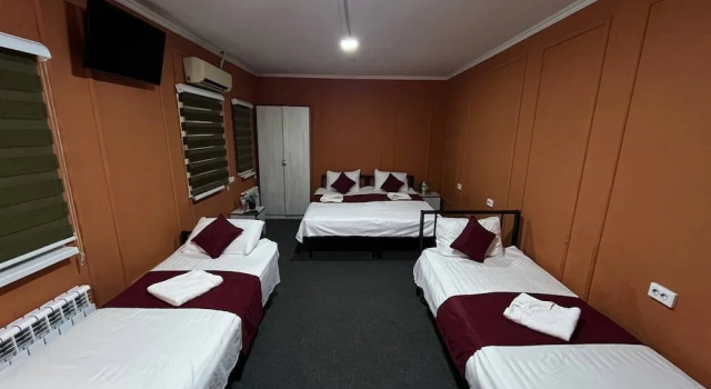 Camera quadrupla The Palms Hostel
