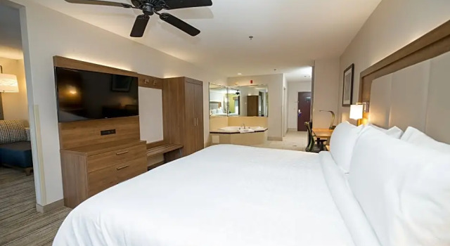 Двухместный люкс c 1 комнатой Holiday Inn Express Hotel & Suites Clinton by IHG