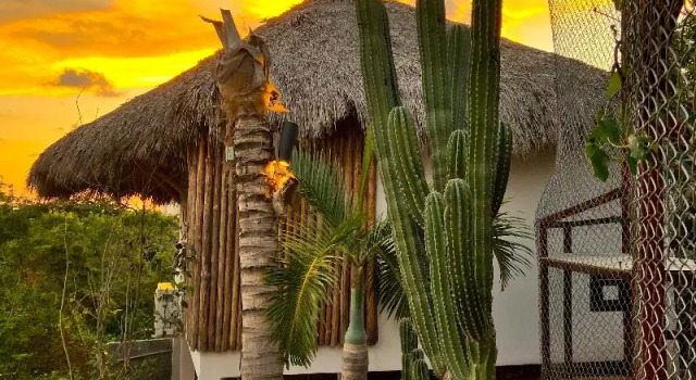 Номер Deluxe с балконом Palm Valley Cabins