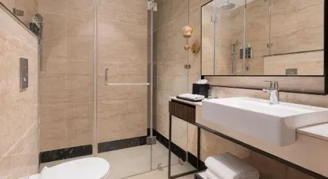 Люкс Deluxe Four Points By Sheraton Sonmarg Resort