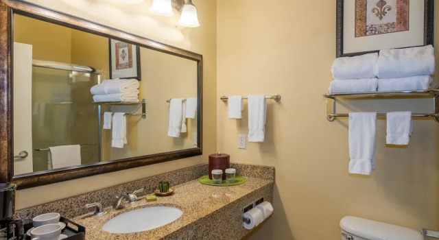 Двухместный номер Deluxe Natchez Grand Hotel On The River