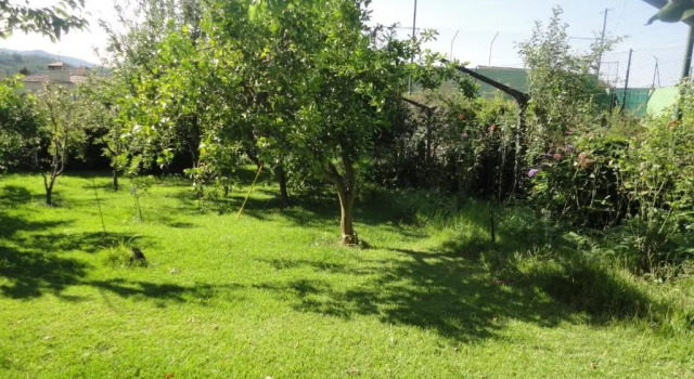 Коттедж Cork Tree Villa
