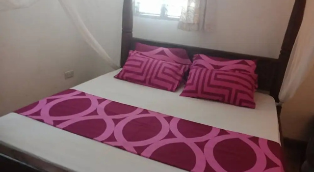 Двухместный номер Standard Soul Breeze Beach Resort