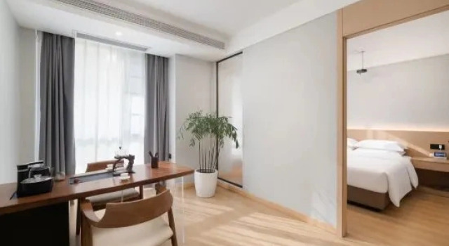 Люкс Business Aimoke hotel