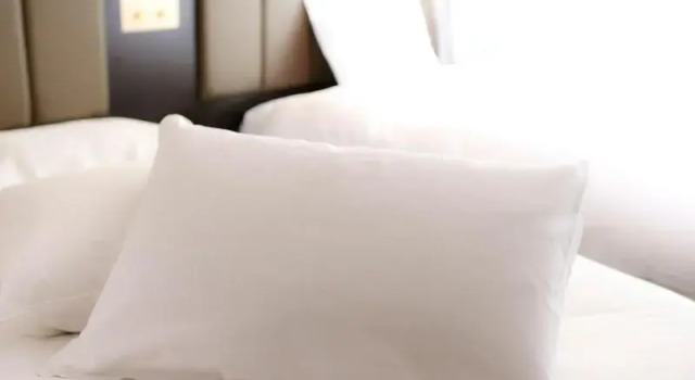 Двухместный номер Standard APA Hotel PRIDE Akasaka Kokkaigijidomae