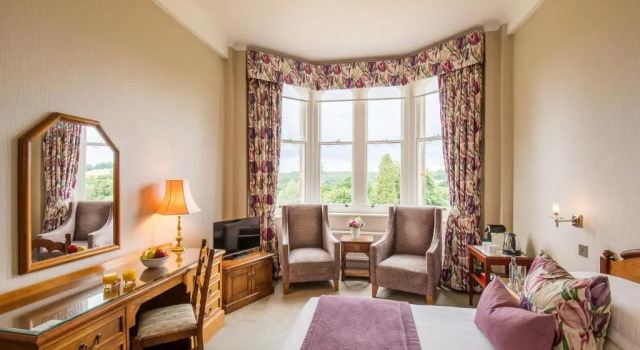 Двухместный номер Deluxe с видом на парк Ashdown Park Hotel