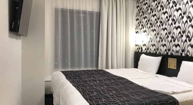 Одноместный номер Standard Bayside Hotel Azur Takeshiba